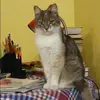 Отзыв от Зинаида Овсянникова